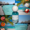 Karakter Soft • Elegant • Feminine • Graceful • Timeless - 4 REGENT For Unisex - Extrait De parfum 30 ml
