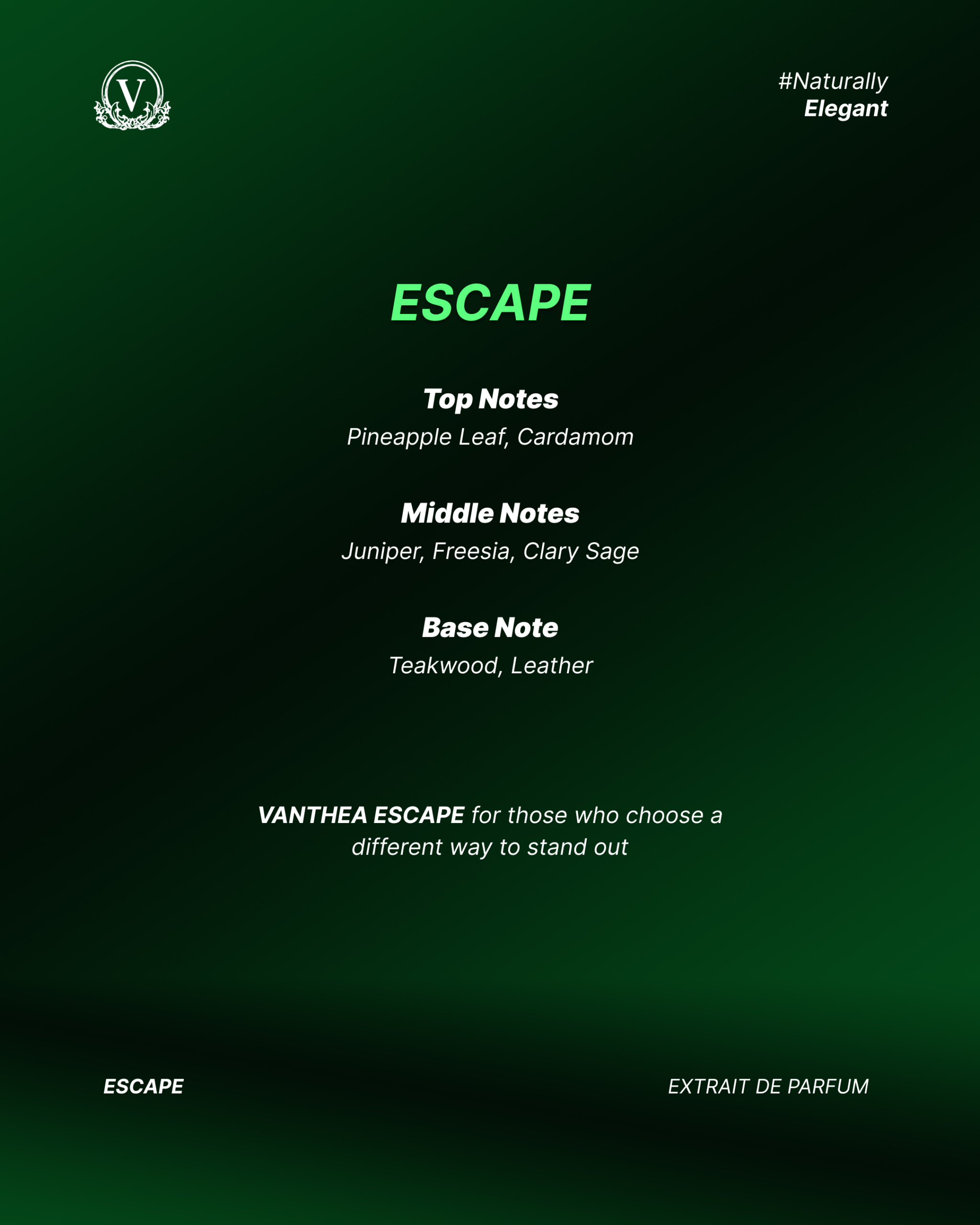 Escape For Unisex - Extrait De Parfum 30 ml